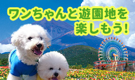 天空のドッグラン