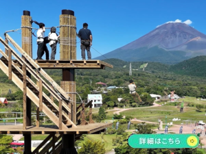 FUJI SHY ATTACK thumnale 300×225.png