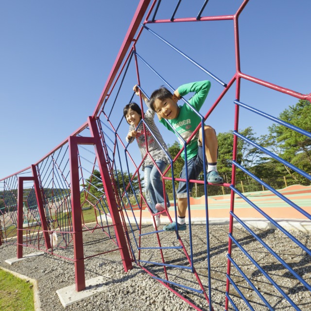 ピカソのタマゴ