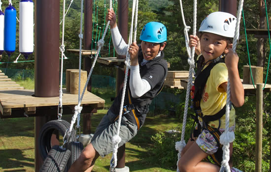 ワイヤーマウンテン