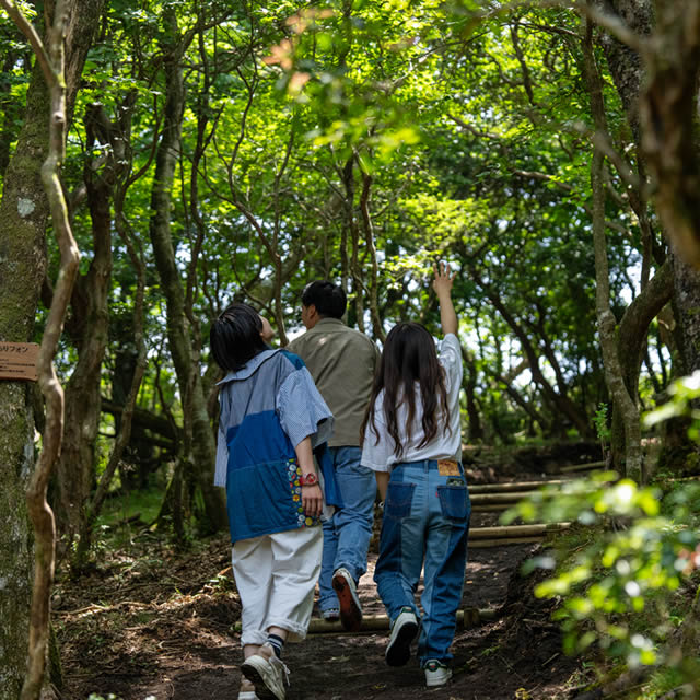 ハイキングコース「わくわく発見の森」