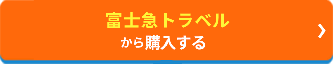 富士急トラベルから購入する