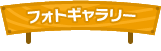 フォトギャラリー