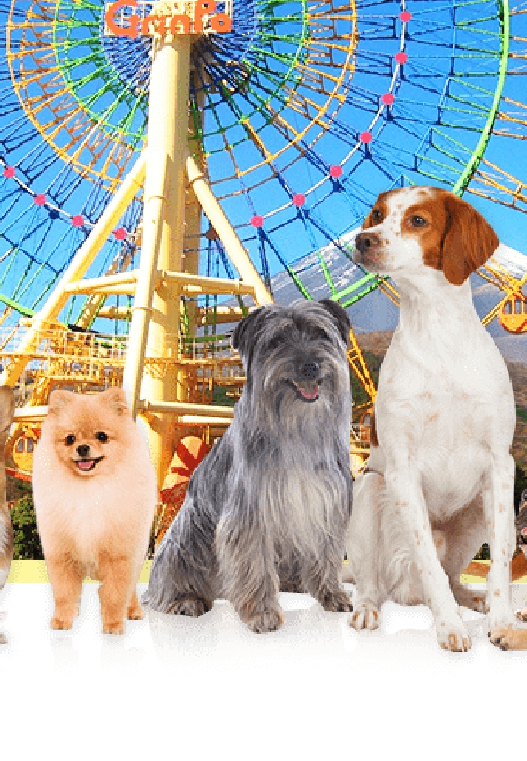 メインビジュアル