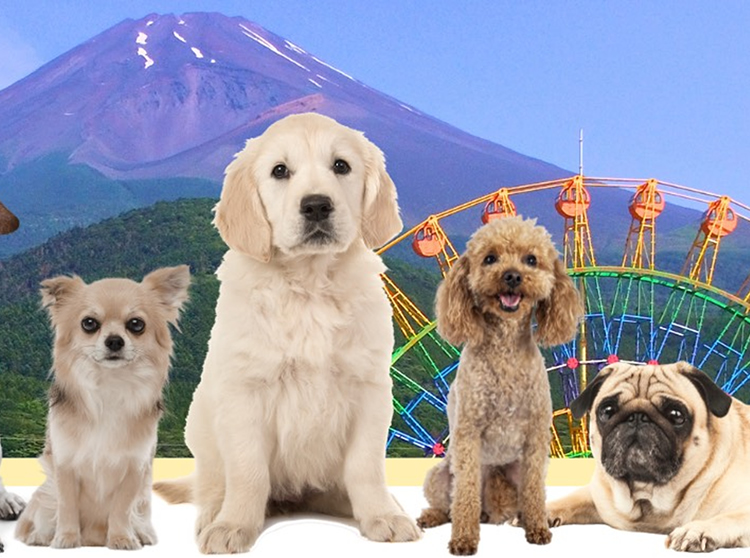 メインビジュアル