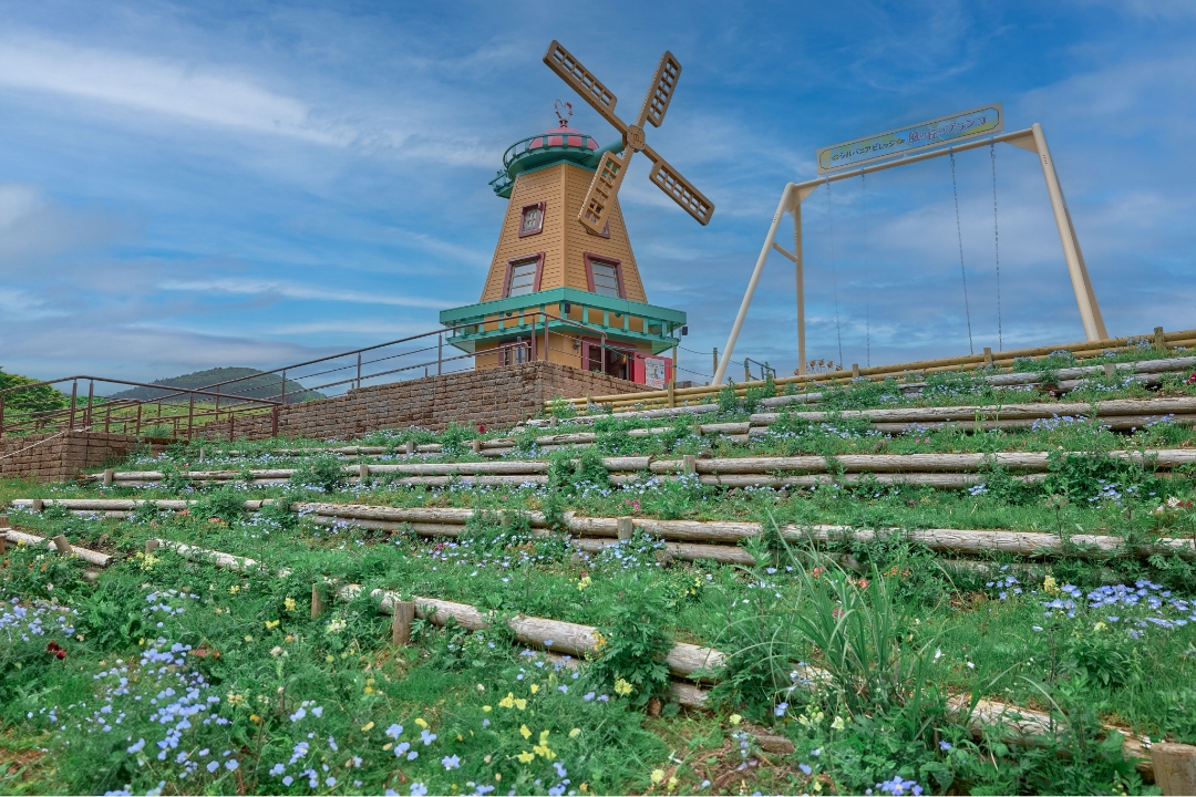 アトラクション画像