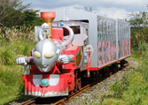 Ultraman Train