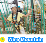 Wire Mountain