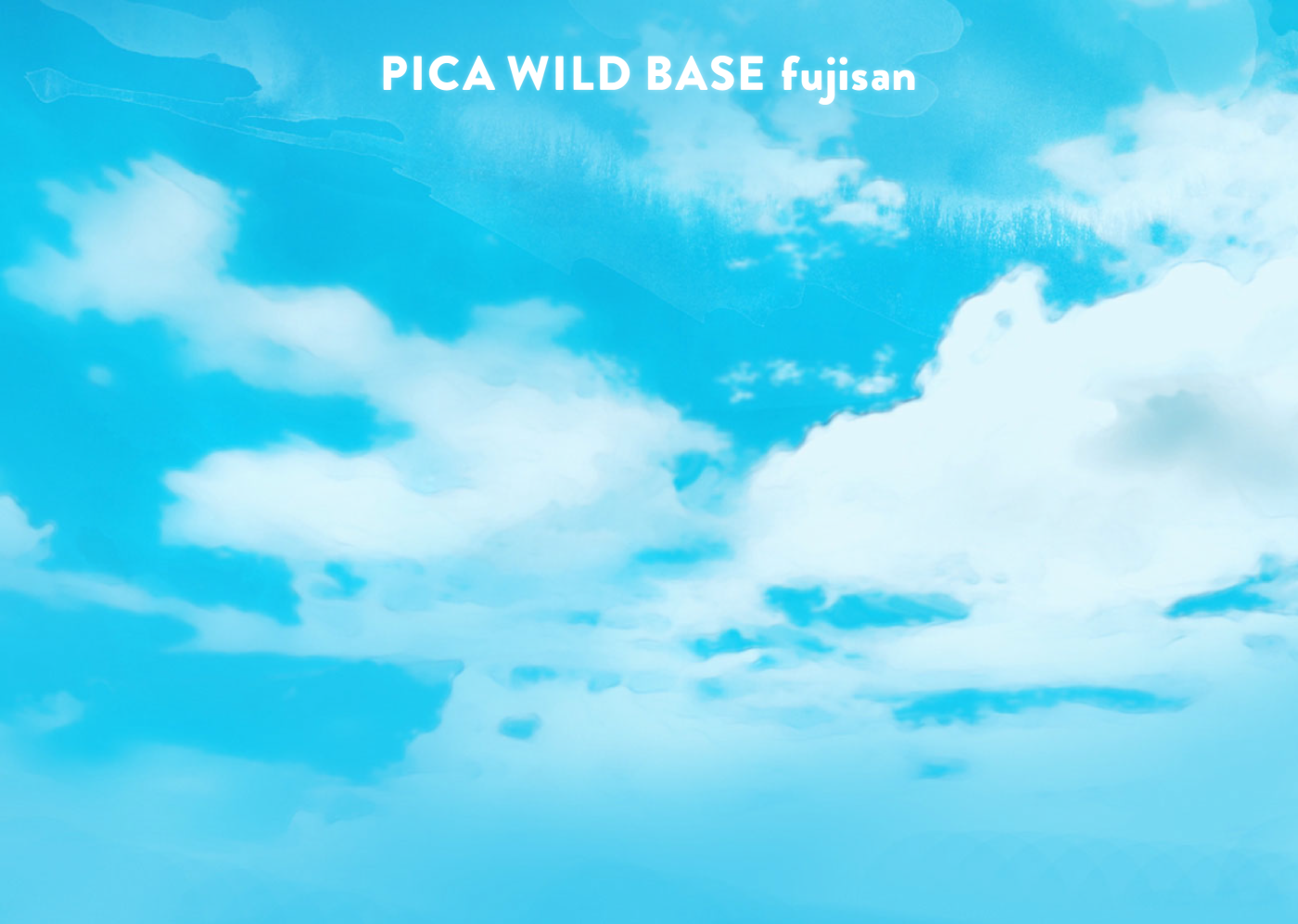PICA WILD BASE