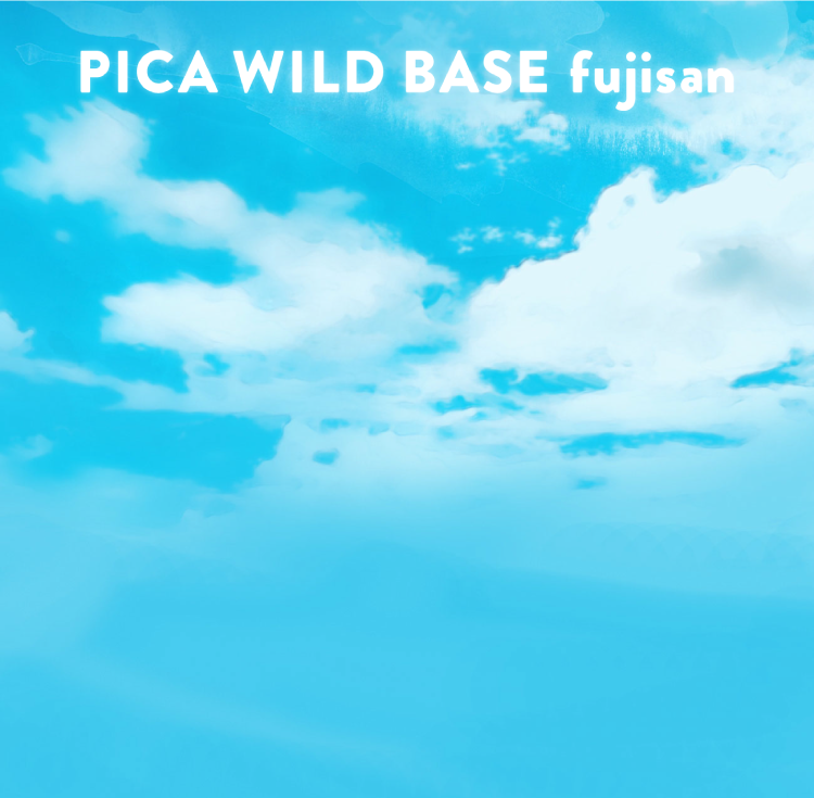PICA WILD BASE