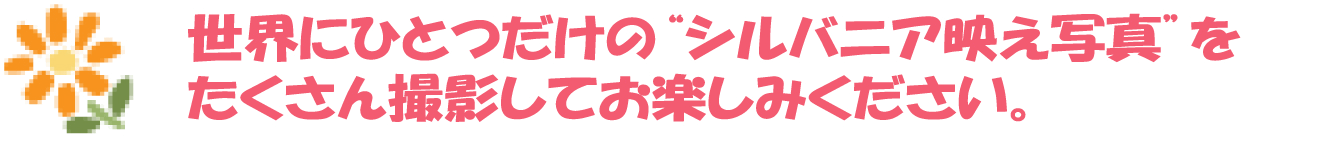 ケーキが焼けるいい香り…ダイニングキッチンでは何をしているのかな？