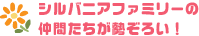 シルバニアファミリーの仲間たちが勢ぞろい！