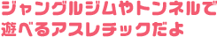 ジャングルジムやトンネルで遊べるアスレチックだよ