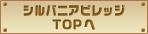 �V���o�j�A�r���b�WTOP��